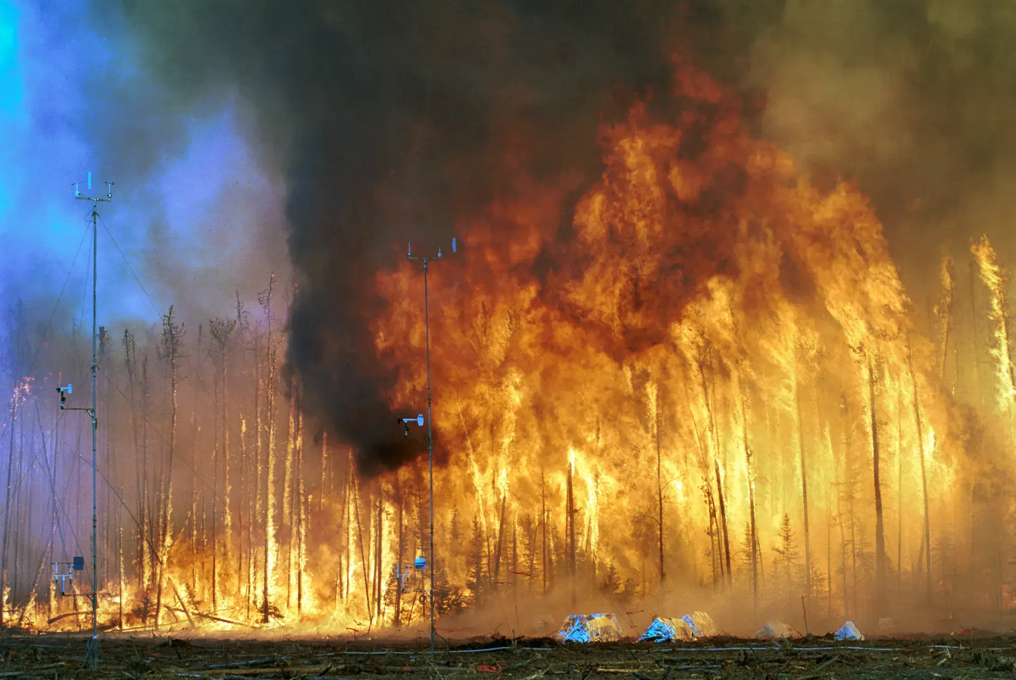 A crown fire burning through a stand of conifers, with instrument masts in the foreground